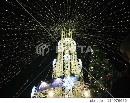 高知中央公園　クリスマスマーケット 134976686