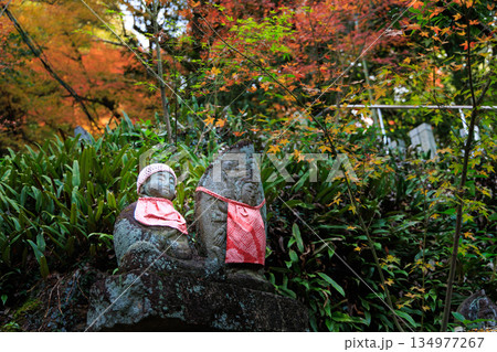 愛知県犬山市寂光院の地蔵菩薩と紅葉、秋の寺院風景 愛知県犬山市寂光院の地蔵菩薩と紅葉、秋の寺院風景 134977267