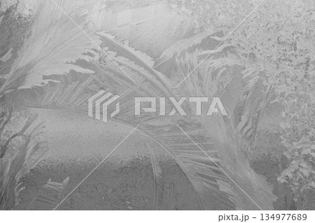Frosted window with palm leaf imprint creates abstract icy pattern on glass in soft monochrome lighting 134977689