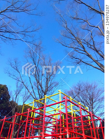 冬の公園のジャングルジムと欅の枯れ木と青空 冬の公園のジャングルジムと欅の枯れ木と青空 134978287