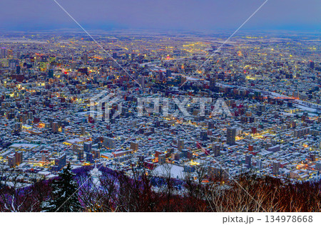 Night view of Sapporo cityscape in winter at twilight from Mt. Moiwa observation, the best city view point, Sapporo, Hokkaido, Japan 134978668