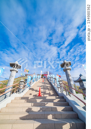 「青森県」正月の蕪島神社風景　冬 134980362