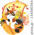 宝船に乗った猫 134980364