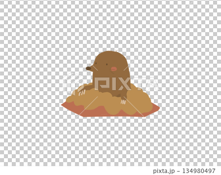 A mole peeking out from the hand-drawn landscape 134980497