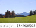 Large, open field with a mountain in the background 134980508