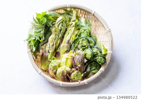 山菜の盛り合わせ　タラの芽　こごみ　コシアブラ　ふきのとう 134980522