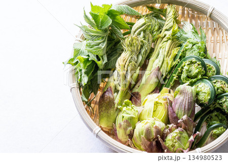 山菜の盛り合わせ タラの芽 こごみ コシアブラ ふきのとう 山菜の盛り合わせ タラの芽 こごみ コシアブラ ふきのとう 134980523