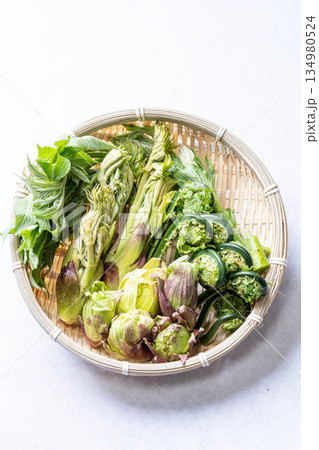 山菜の盛り合わせ タラの芽 こごみ コシアブラ ふきのとう 山菜の盛り合わせ タラの芽 こごみ コシアブラ ふきのとう 134980524