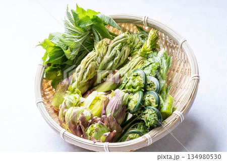 山菜の盛り合わせ　タラの芽　こごみ　コシアブラ　ふきのとう 134980530