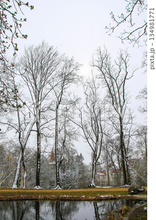 Snow Covered Winter Trees in Regensburg Park Creates Tranquil Seasonal Landscape Scene Snow Covered Winter Trees in Regensburg Park Creates Tranquil Seasonal Landscape Scene 134981771