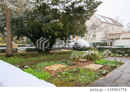 Snow Covered Winter Trees in Regensburg Park Creates Tranquil Seasonal Landscape Scene Snow Covered Winter Trees in Regensburg Park Creates Tranquil Seasonal Landscape Scene 134981776