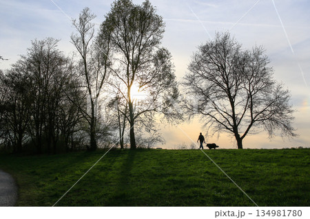 Silhouettes Walking on Idyllic Country Road Near Danube Lake at Beautiful Regensburg Sunset 134981780