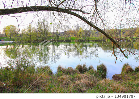 Peaceful Spring Walk Along Idyllic Country Road Near Danube Lake in Regensburg Peaceful Spring Walk Along Idyllic Country Road Near Danube Lake in Regensburg 134981787