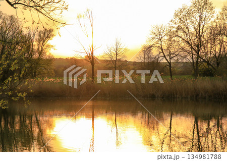 Peaceful Spring Walk Along Idyllic Country Road Near Danube Lake in Regensburg 134981788