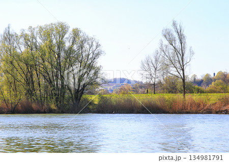 Peaceful Spring Walk Along Idyllic Country Road Near Danube Lake in Regensburg Peaceful Spring Walk Along Idyllic Country Road Near Danube Lake in Regensburg 134981791