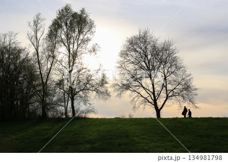 Silhouettes Walking on Idyllic Country Road Near Danube Lake at Beautiful Regensburg Sunset Silhouettes Walking on Idyllic Country Road Near Danube Lake at Beautiful Regensburg Sunset 134981798