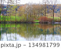 Peaceful Spring Walk Along Idyllic Country Road Near Danube Lake in Regensburg 134981799