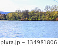 Peaceful Spring Walk Along Idyllic Country Road Near Danube Lake in Regensburg 134981806