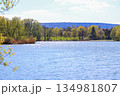 Peaceful Spring Walk Along Idyllic Country Road Near Danube Lake in Regensburg 134981807