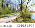 Peaceful Spring Walk Along Idyllic Country Road Near Danube Lake in Regensburg 134981809