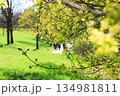 Peaceful Spring Walk Along Idyllic Country Road Near Danube Lake in Regensburg 134981811