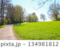Peaceful Spring Walk Along Idyllic Country Road Near Danube Lake in Regensburg 134981812