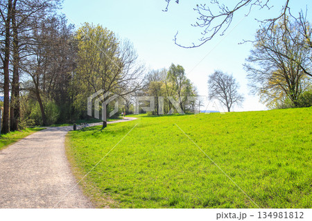 Peaceful Spring Walk Along Idyllic Country Road Near Danube Lake in Regensburg 134981812