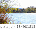 Peaceful Spring Walk Along Idyllic Country Road Near Danube Lake in Regensburg 134981813
