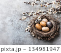 Easter nest with eggs 134981947