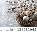 Easter nest with eggs 134981948