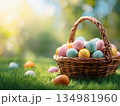 Easter eggs basket outdoors 134981960