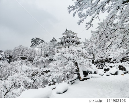 雪の郡上八幡城 134982198