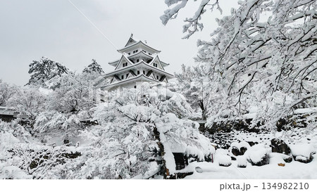 雪の郡上八幡城 雪の郡上八幡城 134982210