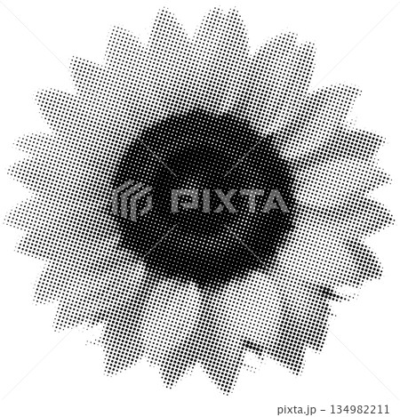 Black and white halftone dot of a sunflower with a dark center and radiating petals on a white 134982211