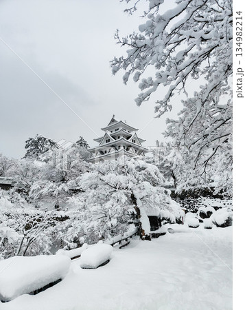 雪の郡上八幡城 雪の郡上八幡城 134982214