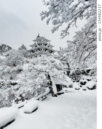 雪の郡上八幡城 134982217