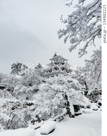 雪の郡上八幡城 134982221