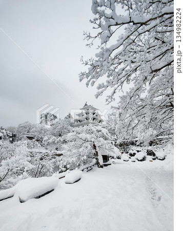 雪の郡上八幡城 雪の郡上八幡城 134982224