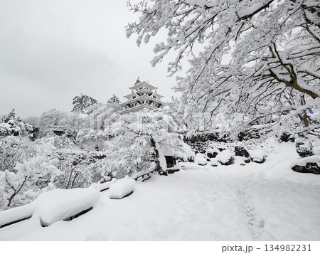 雪の郡上八幡城 雪の郡上八幡城 134982231