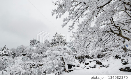 雪の郡上八幡城 雪の郡上八幡城 134982370
