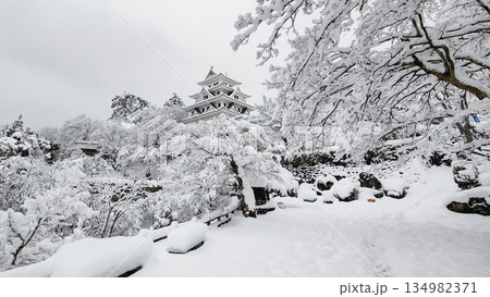 雪の郡上八幡城 134982371