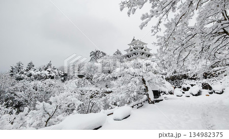 雪の郡上八幡城 雪の郡上八幡城 134982375