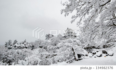 雪の郡上八幡城 134982376