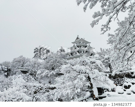 雪の郡上八幡城 雪の郡上八幡城 134982377