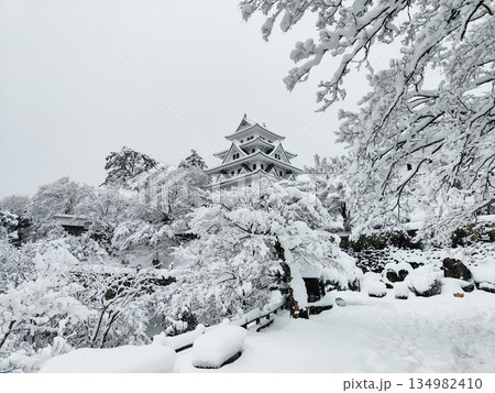 雪の郡上八幡城 134982410
