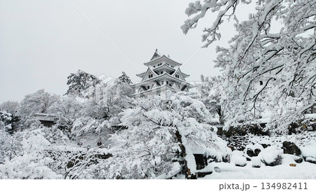 雪の郡上八幡城 雪の郡上八幡城 134982411