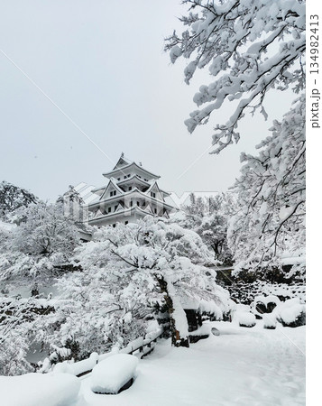 雪の郡上八幡城 雪の郡上八幡城 134982413