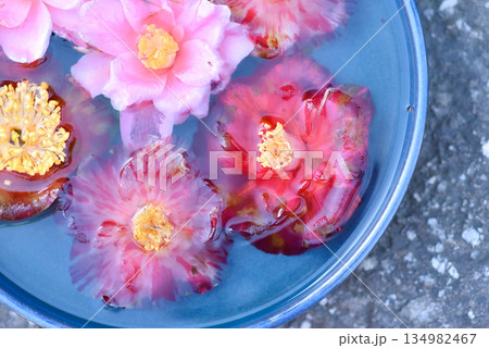 牡丹の花手水 134982467