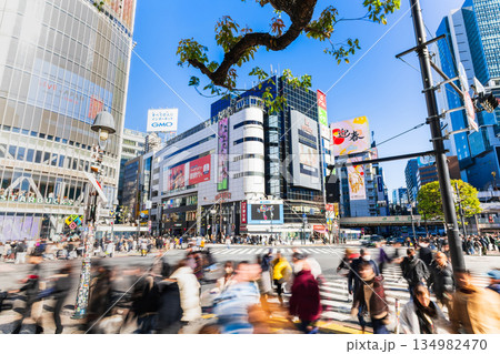 渋谷駅前 スクランブル交差点 渋谷駅前 スクランブル交差点 134982470