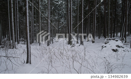 Frozen Woodland Imagery, Spectacular Winter Scene Featuring Snowy Trees And Rough Terrain, Picturesque Winter Landscape Showcasing Frostladen Branches And Uneven Snowy Forest Floor Frozen Woodland Imagery, Spectacular Winter Scene Featuring Snowy Trees And Rough Terrain, Picturesque Winter Landscape Showcasing Frostladen Branches And Uneven Snowy Forest Floor 134982639